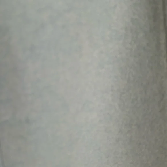 NWT Gap pale blue a line skirt size 2. Wool blend w/nordic looking trim. Lined! - Picture 12 of 15